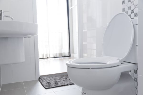 Toilet Seat Installation in Kingsport