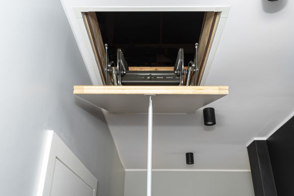 Attic Door Repair in Kingsport