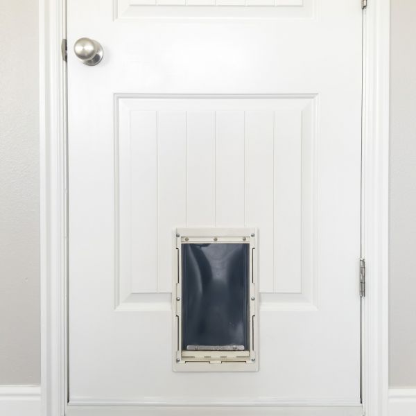 Pet Door Repair in Kingsport