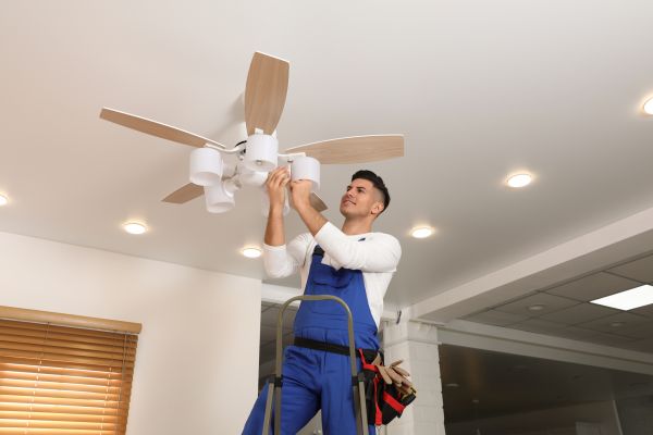 Ceiling Fan Bulb Replacement in Kingsport